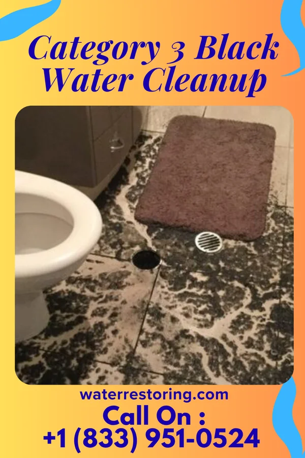 Category 3 Black Water Cleanup in Galena, OH