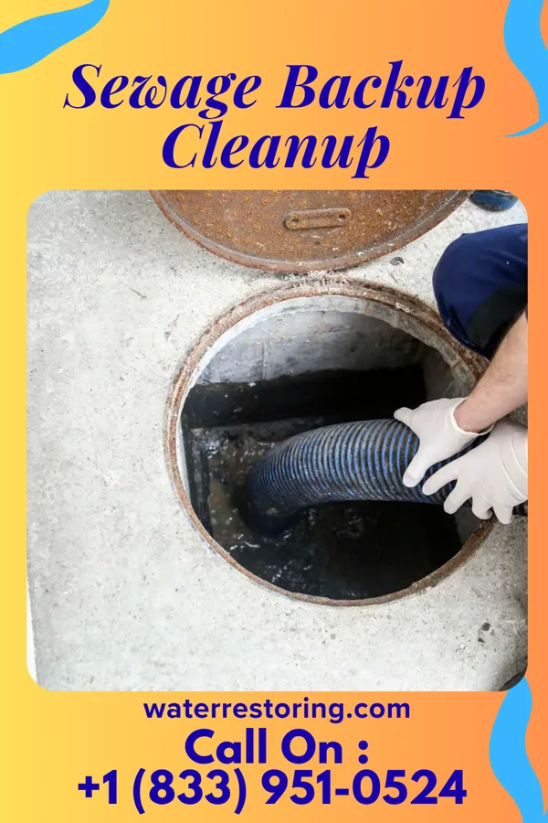 Sewage Backup Cleanup in Galena, OH